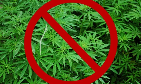 Изъяли килограмм марихуаны в Геническе