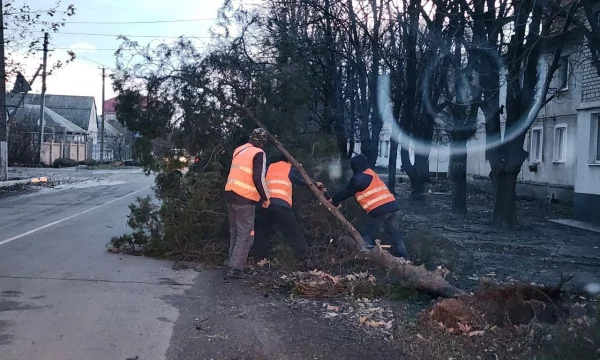 В Херсонской области прошёл сильный ураган