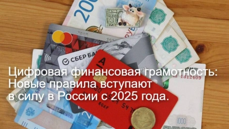 Цифровая финансовая грамотность: Новые правила вступают в силу в России с 2025 года