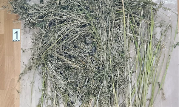 Житель Чаплинского округа признан судом виновным в незаконном обороте наркотических веществ