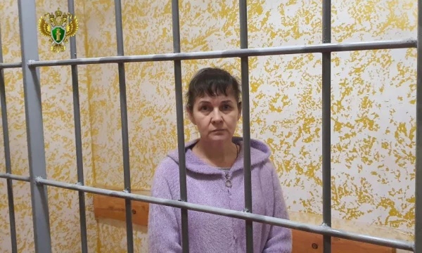 В Херсонской области вынесен приговор по уголовному делу о шпионаже и незаконном обороте взрывчатых веществ и взрывных устройств
