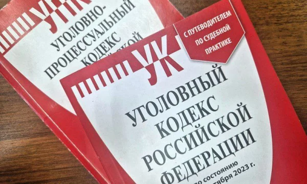 В Херсонской области вынесен приговор о хищении бюджетных средств при получении субсидий на сумму около 450 тыс. рублей