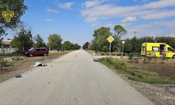Житель Новотроицкого округа признан судом виновным в дорожно-транспортном происшествии со смертельным исходом Житель Новотроицкого округа признан судом виновным в дорожно-транспортном происшествии со смертельным исходом