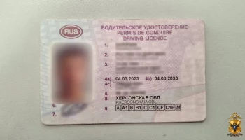 Житель Генического округа приговорен к ограничению свободы за использование поддельного водительского удостоверения