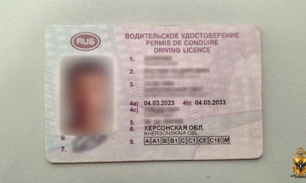Житель Генического округа приговорен к ограничению свободы за использование поддельного водительского удостоверения