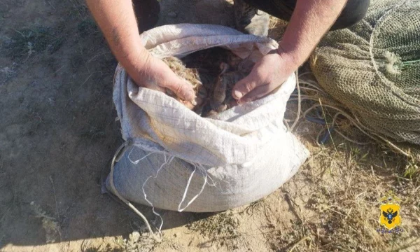 Прокуратура утвердила обвинительные акты по четырем уголовным делам о незаконной ловле черноморской креветки